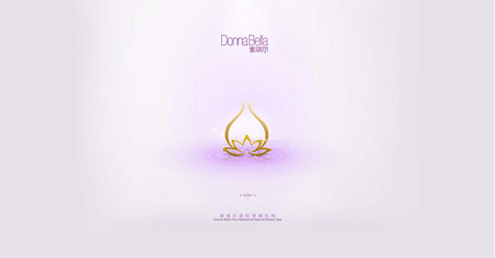 紫琪爾國際美胸機構(gòu) 網(wǎng)站建設(shè) www.zwaishen.com