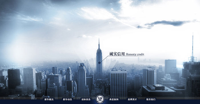 新華招標(biāo) 網(wǎng)站設(shè)計 網(wǎng)站建設(shè) www.zwaishen.com