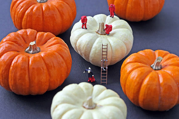 這樣的攝影在網(wǎng)站設(shè)計(jì)中有啟發(fā)嗎！ www.zwaishen.com