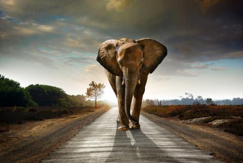 避免設(shè)計(jì)網(wǎng)站常見錯(cuò)誤的方法。