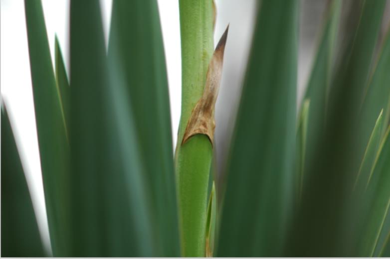 網(wǎng)站建設(shè)里程序開發(fā)和網(wǎng)站設(shè)計(jì)的職責(zé)。