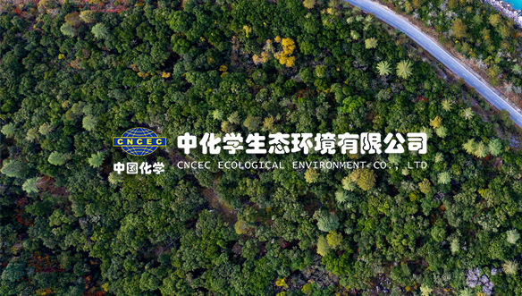 中化學(xué)工程集團公司